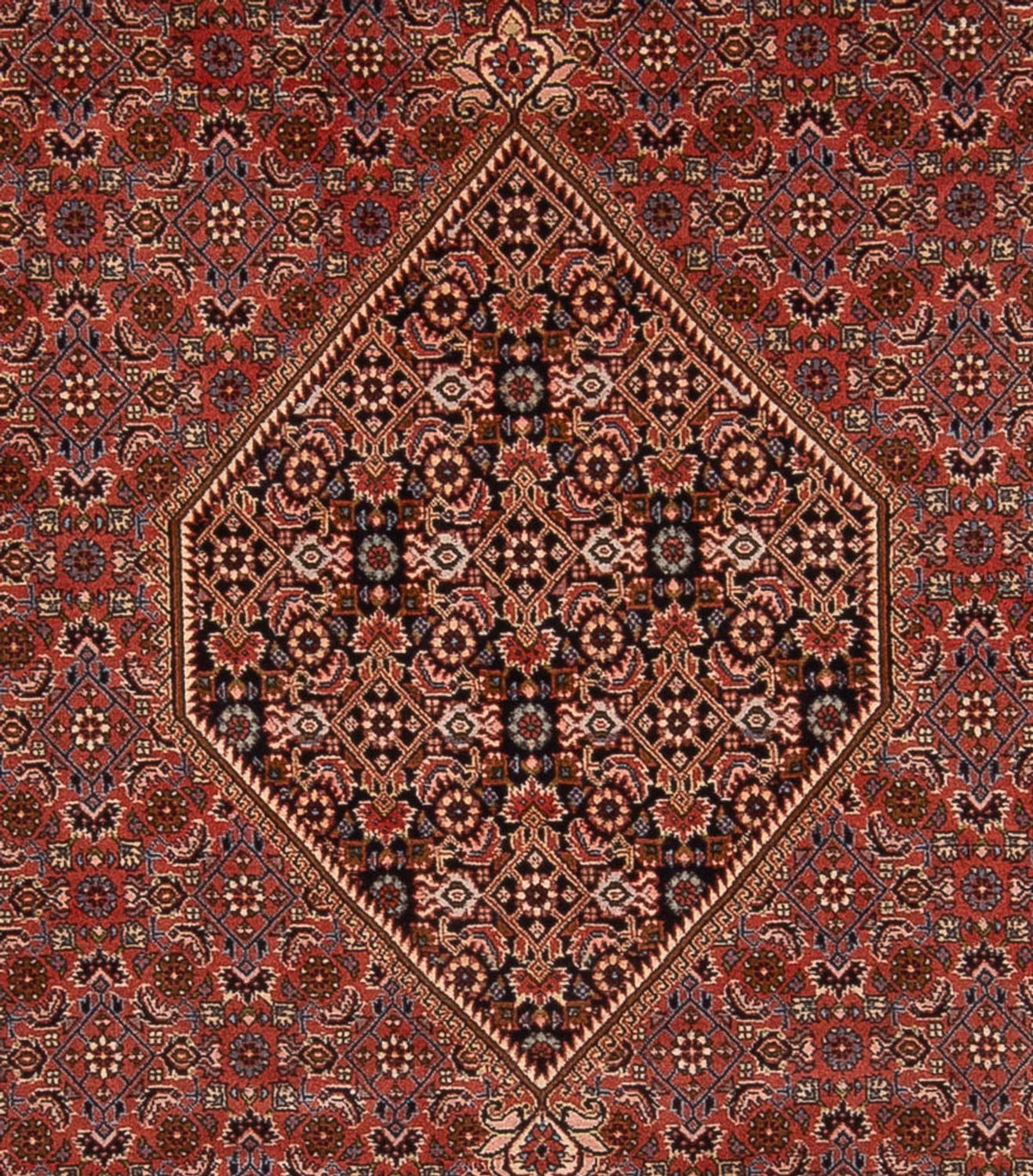 Persisk tæppe - Bijar - Royal - 344 x 250 cm - rust