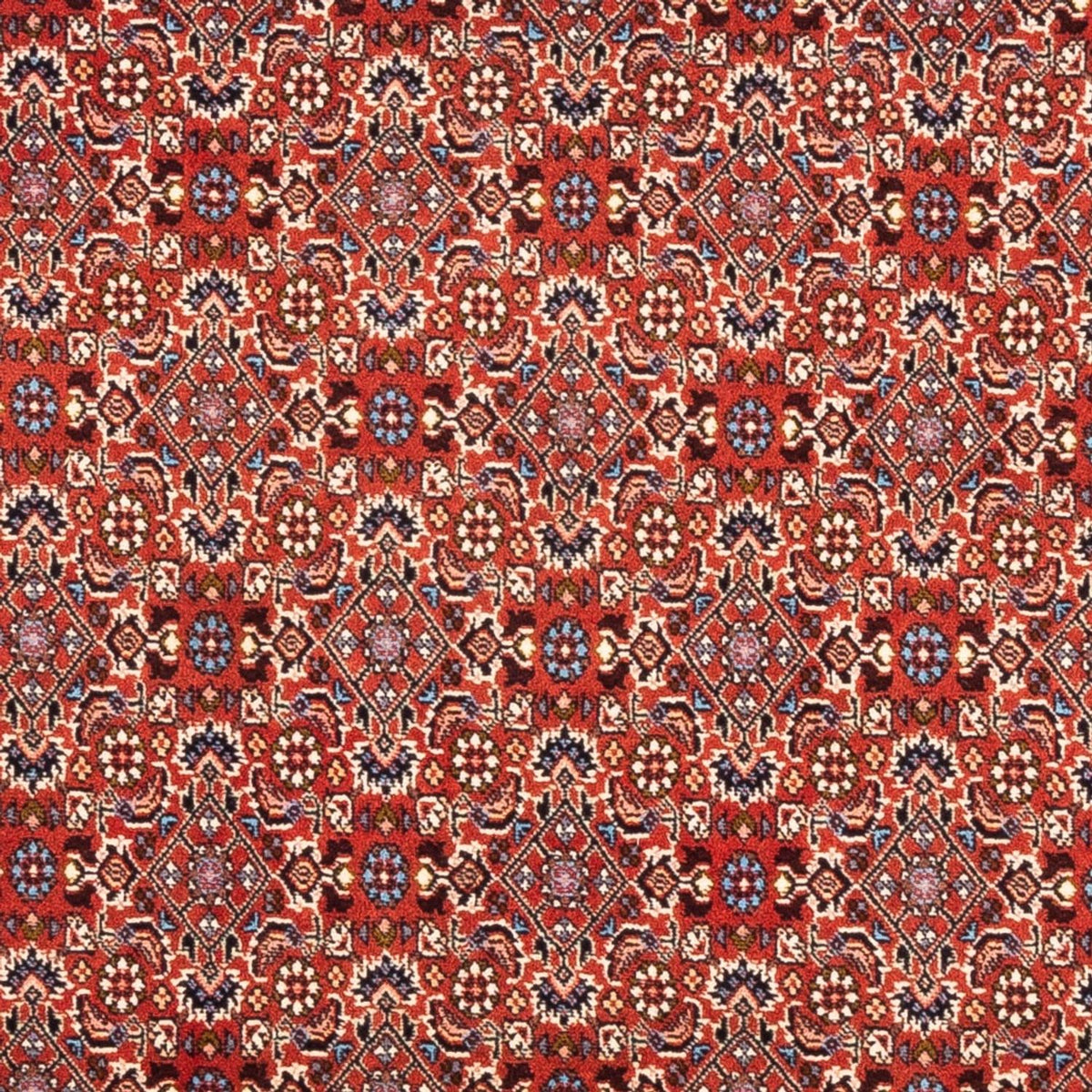 Persisk tæppe - Bijar - Royal - 180 x 110 cm - rød