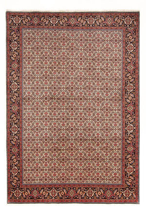 Persisk tæppe - Bijar - Royal - 290 x 200 cm - creme