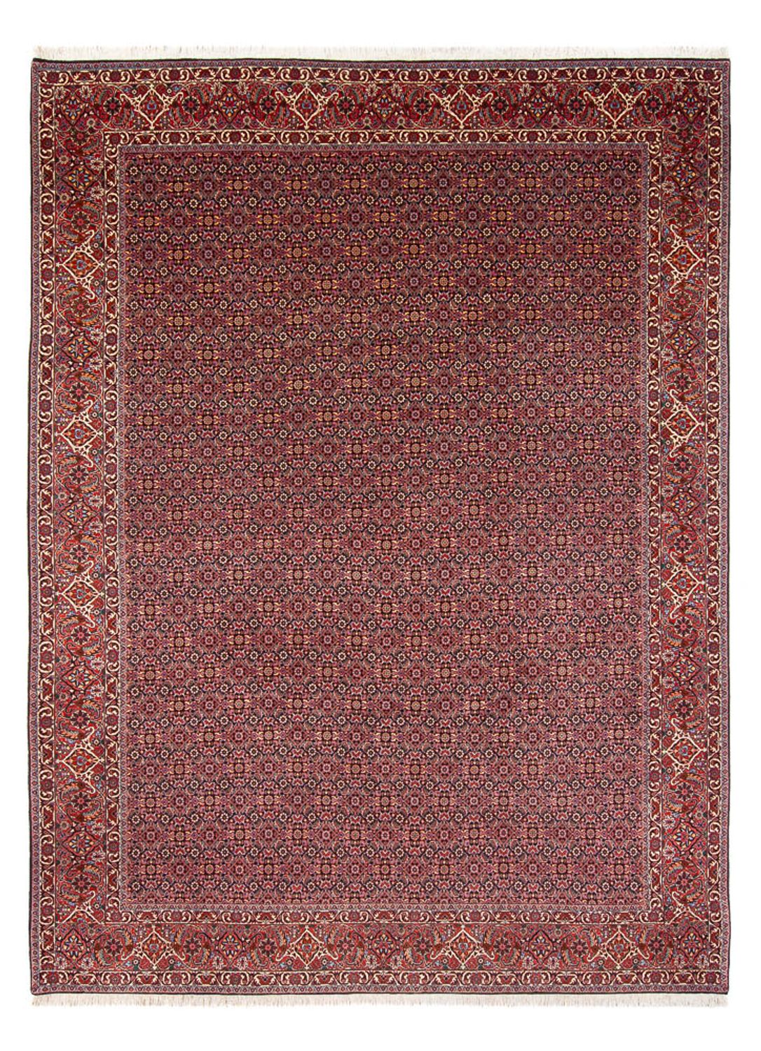 Persisk tæppe - Bijar - Royal - 337 x 260 cm - mørkeblå