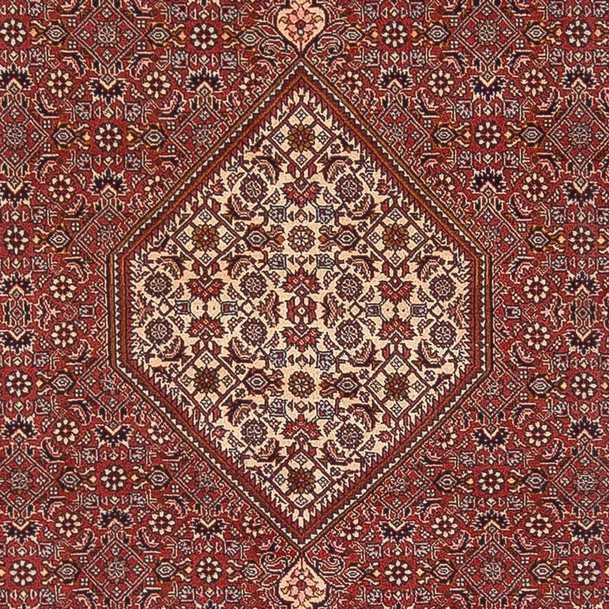 Persisk tæppe - Bijar - Royal - 291 x 197 cm - rød