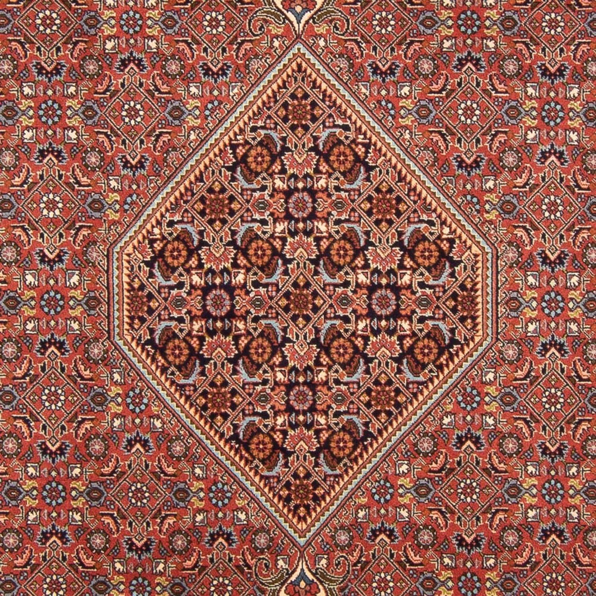 Persisk tæppe - Bijar - Royal - 296 x 197 cm - rød