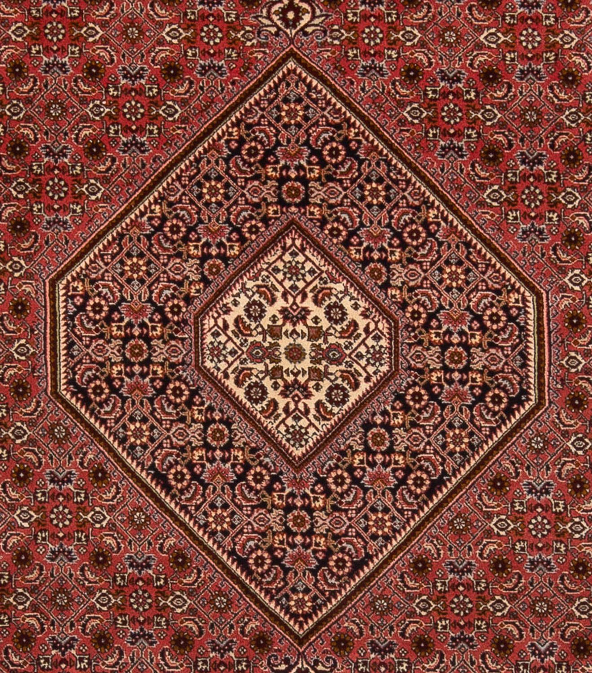 Persisk tæppe - Bijar - Royal - 350 x 250 cm - mørkerød