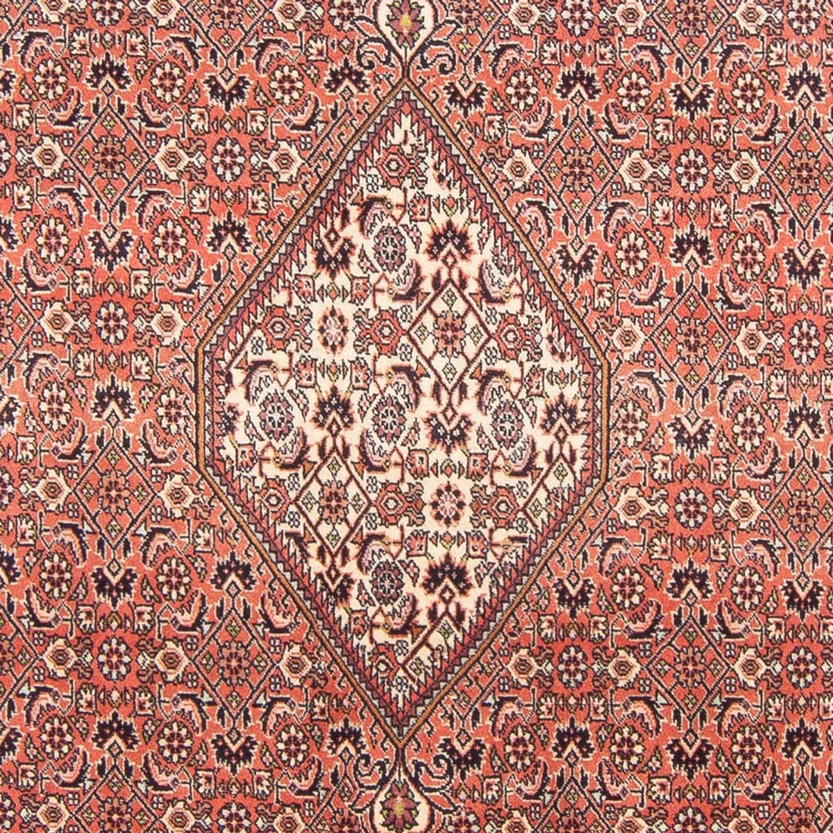 Persisk tæppe - Bijar - Royal - 286 x 194 cm - rød