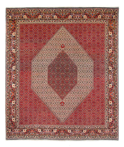 Bidjar - Takab Tæppe 253x300cm - Persisk tæppe - creme