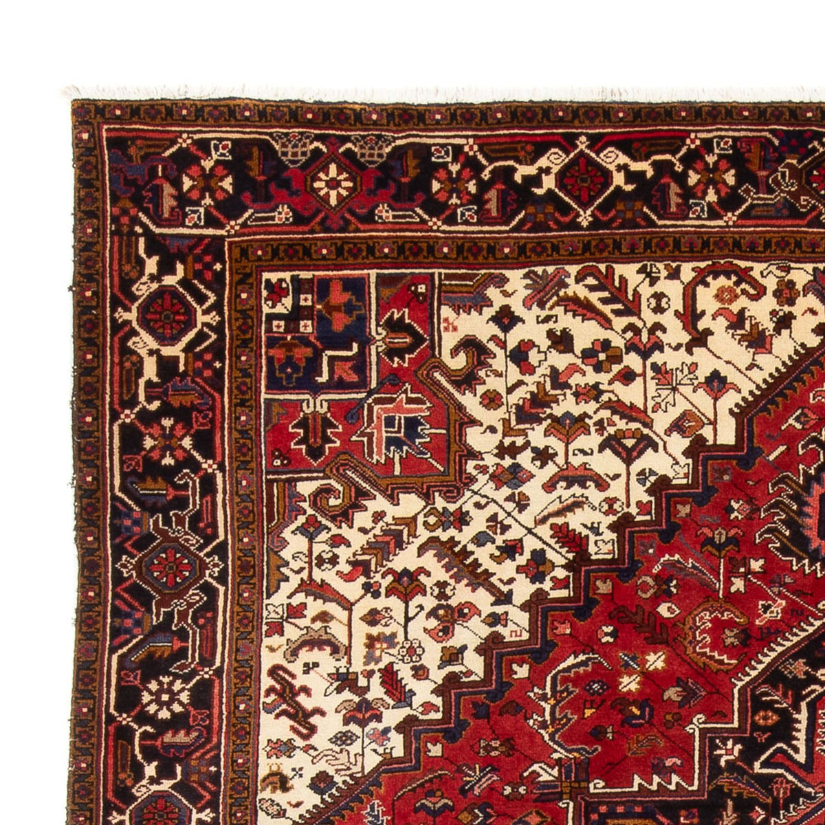 Persisk tæppe - Nomadisk - 339 x 243 cm - creme