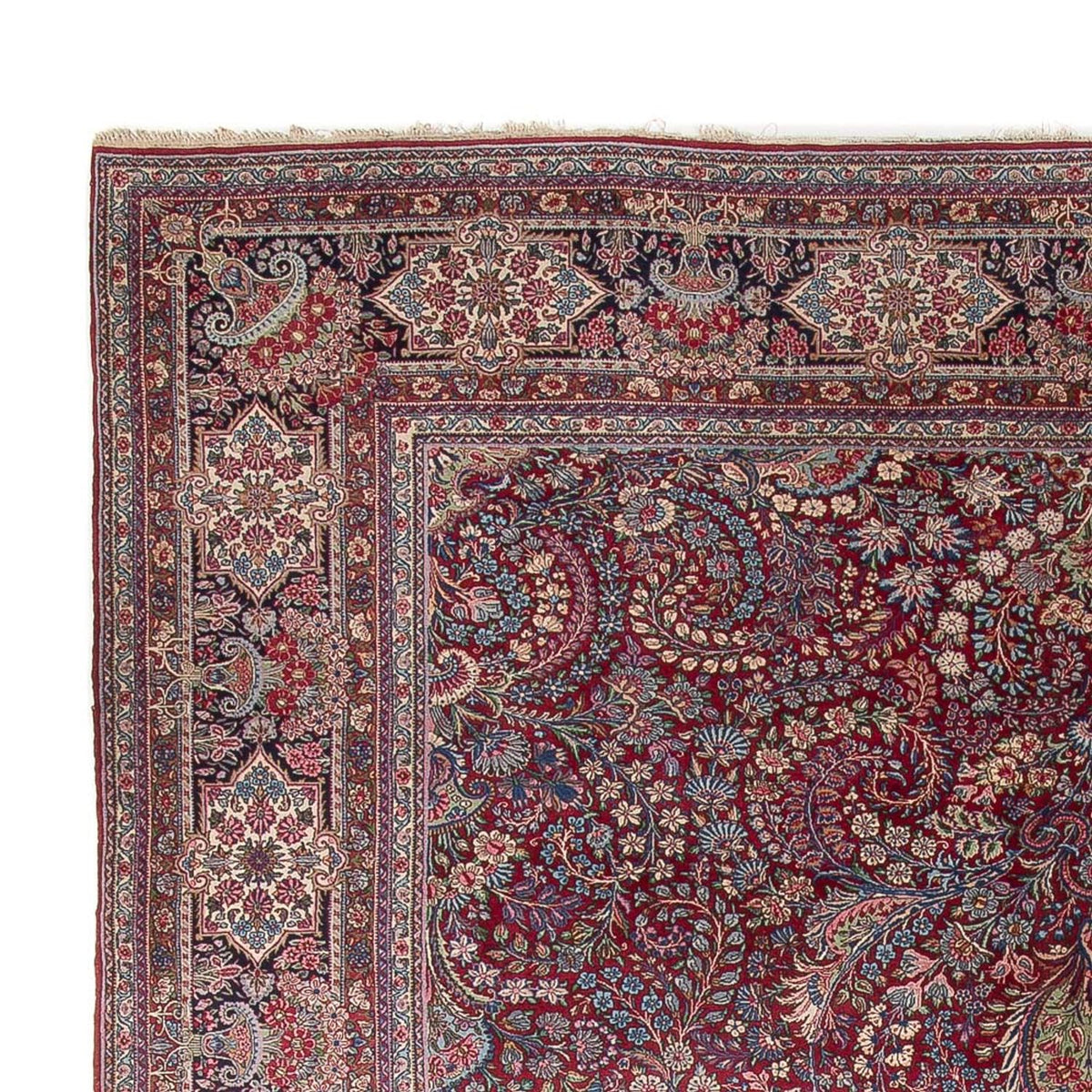 Persisk tæppe - Classic - 515 x 335 cm - mørk beige