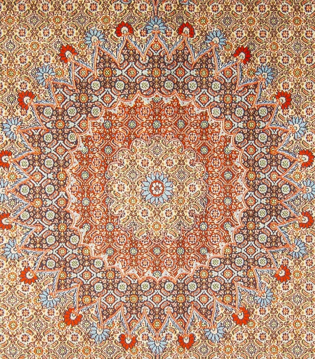 Persisk tæppe - Classic - 337 x 246 cm - mørk beige