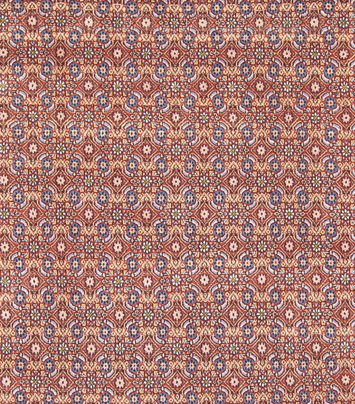 Persisk tæppe - Classic - 294 x 243 cm - mørkeblå