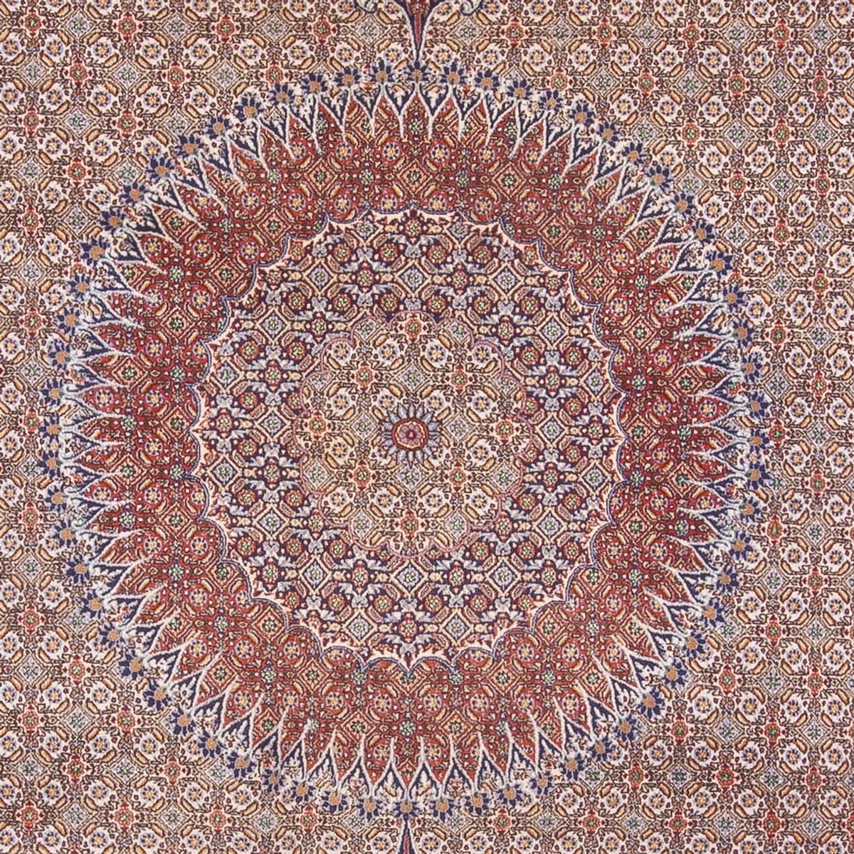 Persisk tæppe - Classic - 388 x 293 cm - mørk beige