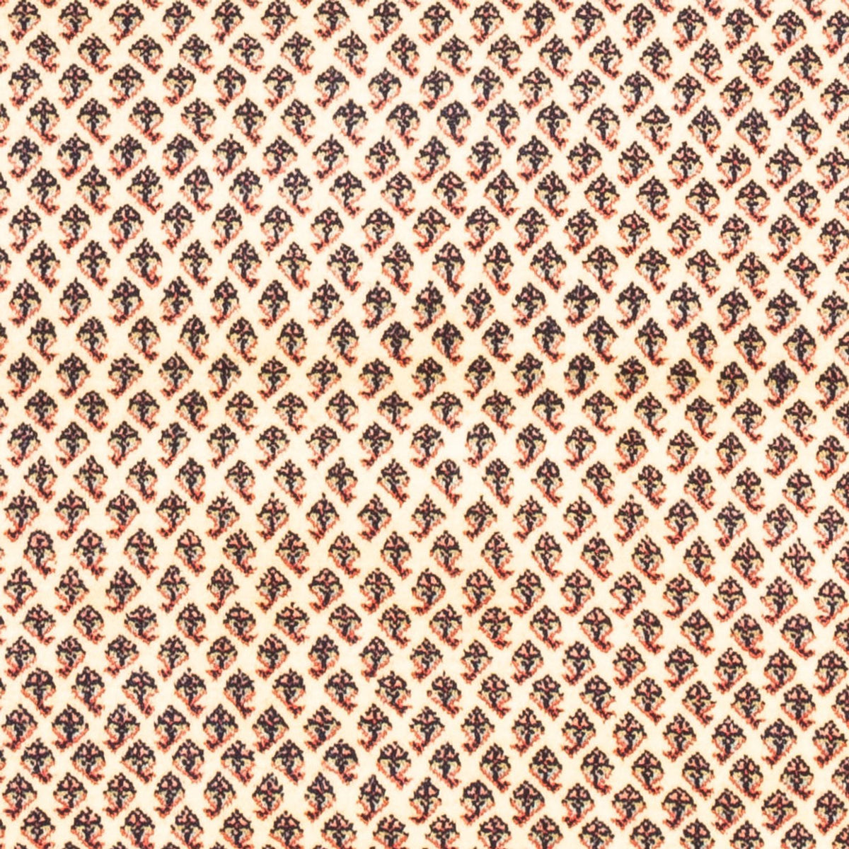 Persisk tæppe - Mir - 160 x 107 cm - creme