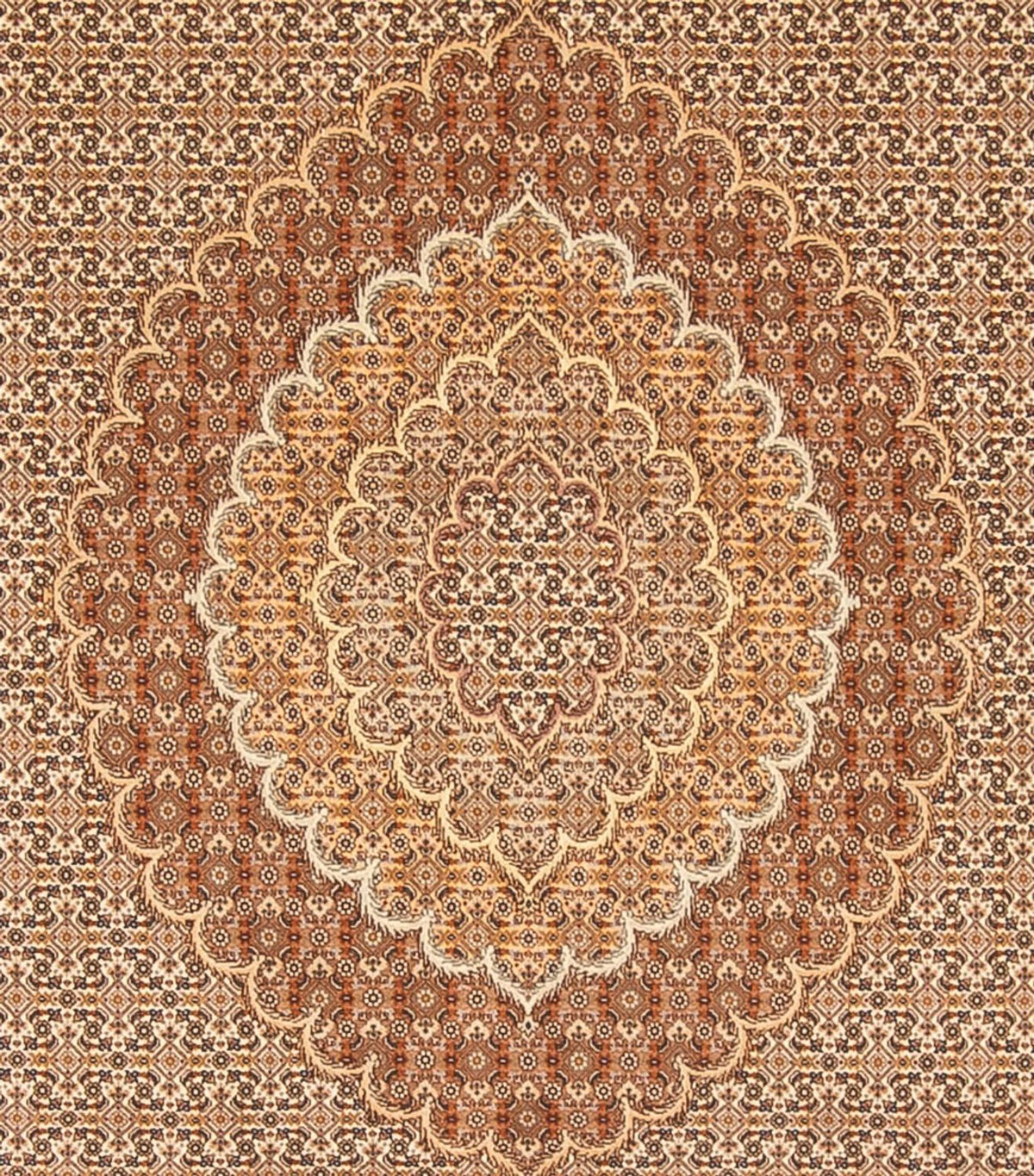 Persisk tæppe - Tabriz - 290 x 250 cm - lys brun