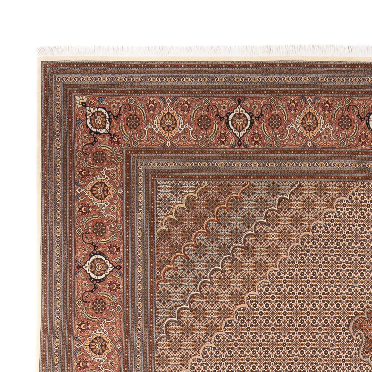 Persisk tæppe - Tabriz - 349 x 254 cm - lys brun