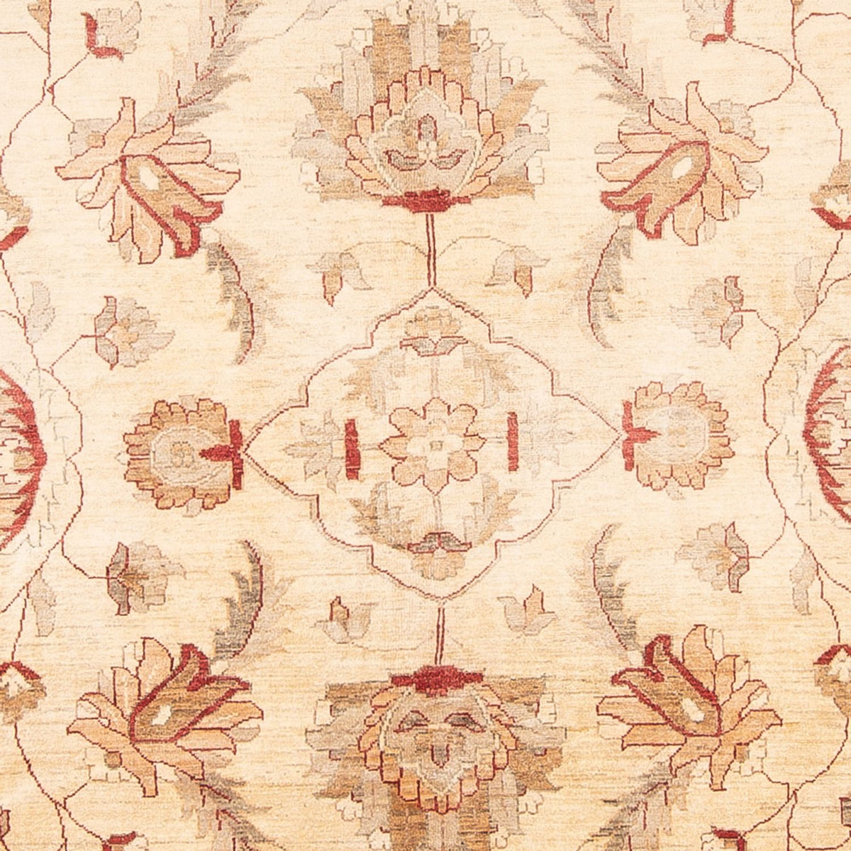 Ziegler Carpet - 455 x 308 cm - creme