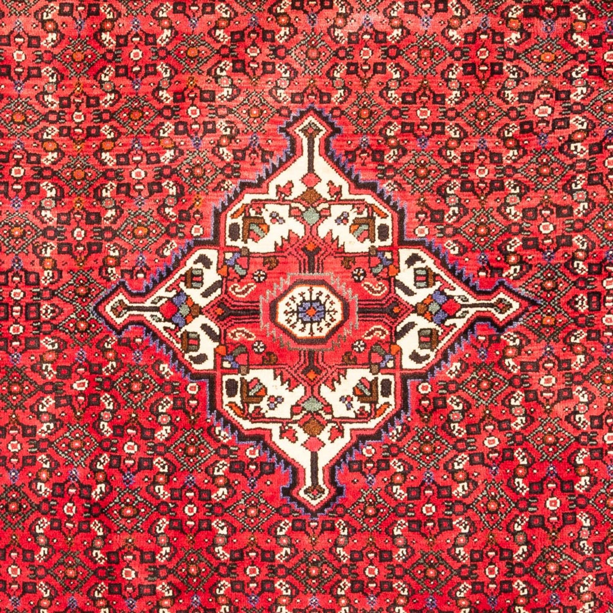 Persisk tæppe - Nomadisk - 318 x 205 cm - rød