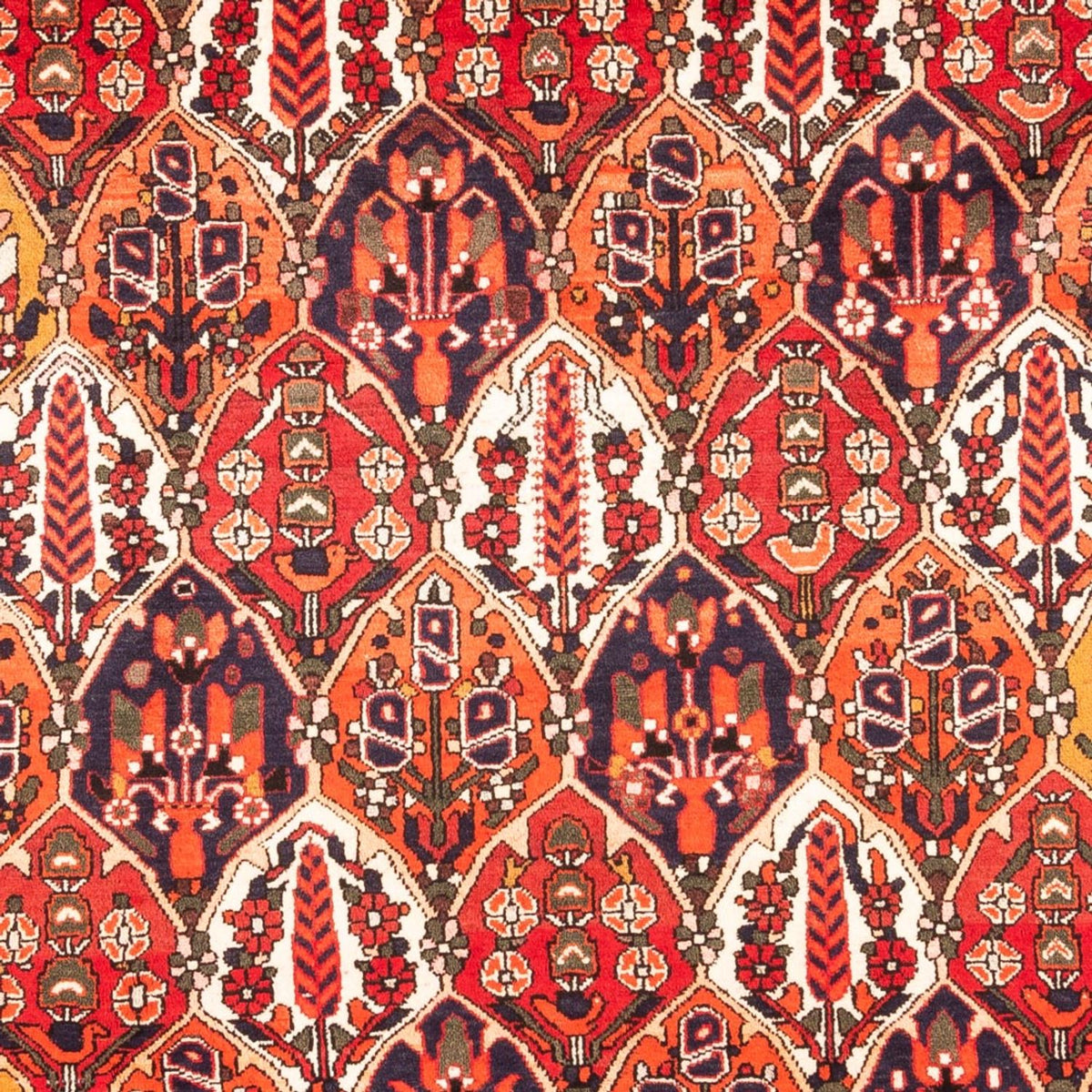 Persisk tæppe - Nomadisk - 300 x 220 cm - flerfarvet