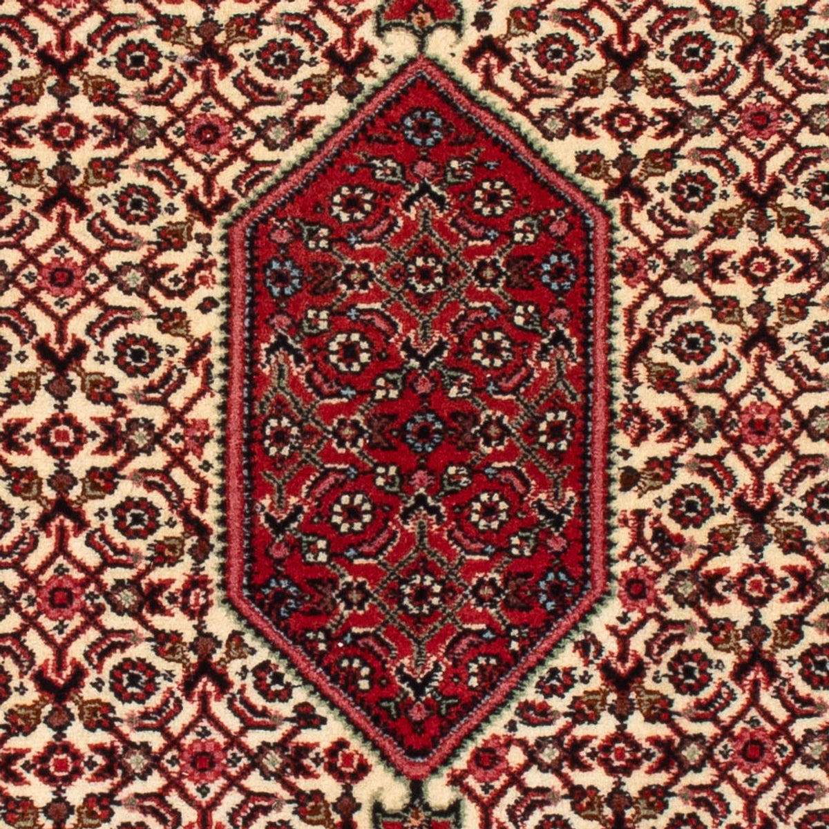 Persisk tæppe - Bijar - Royal - 90 x 77 cm - creme