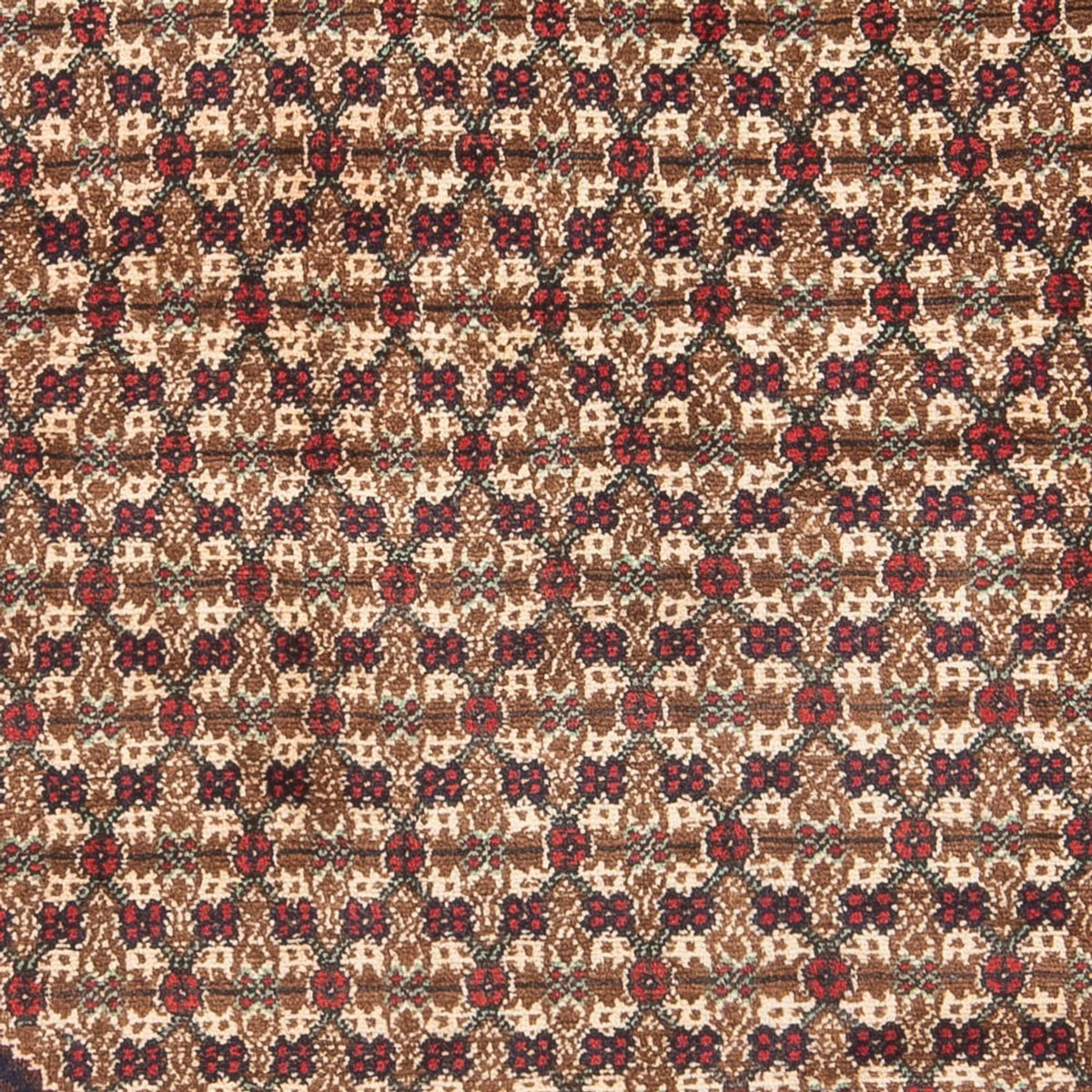 Persisk tæppe - Nomadisk - Royal - 197 x 127 cm - creme