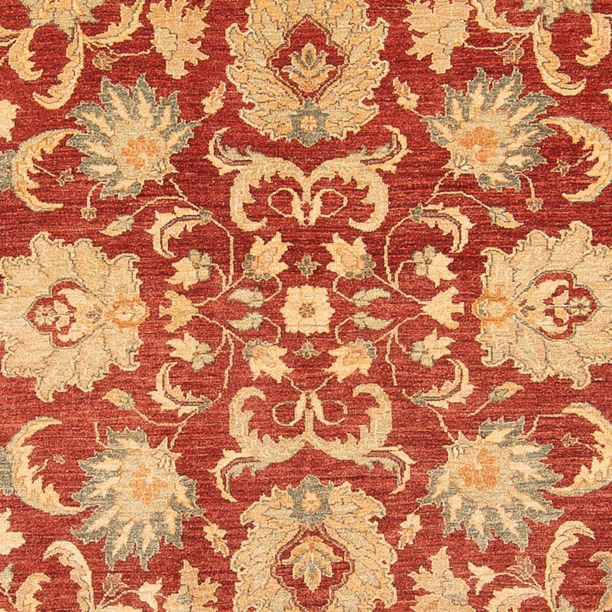 Ziegler Carpet - 372 x 282 cm - rød