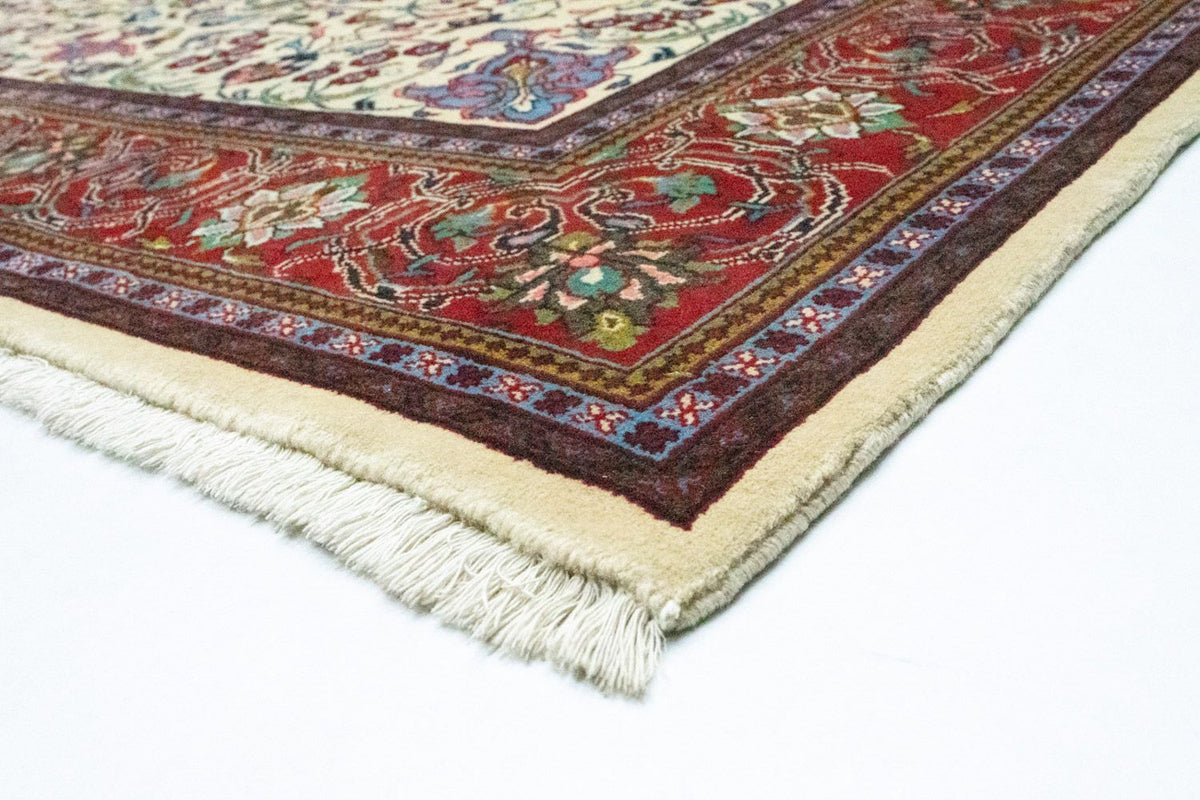 Persisk tæppe - Classic - 314 x 212 cm - beige