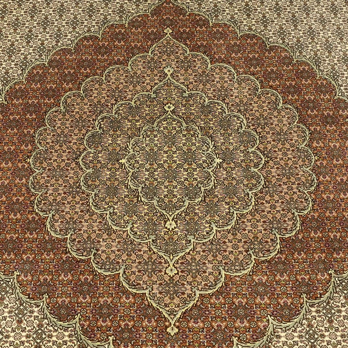 Persisk tæppe - Tabriz - Royal - Royal - 336 x 252 cm - taupe
