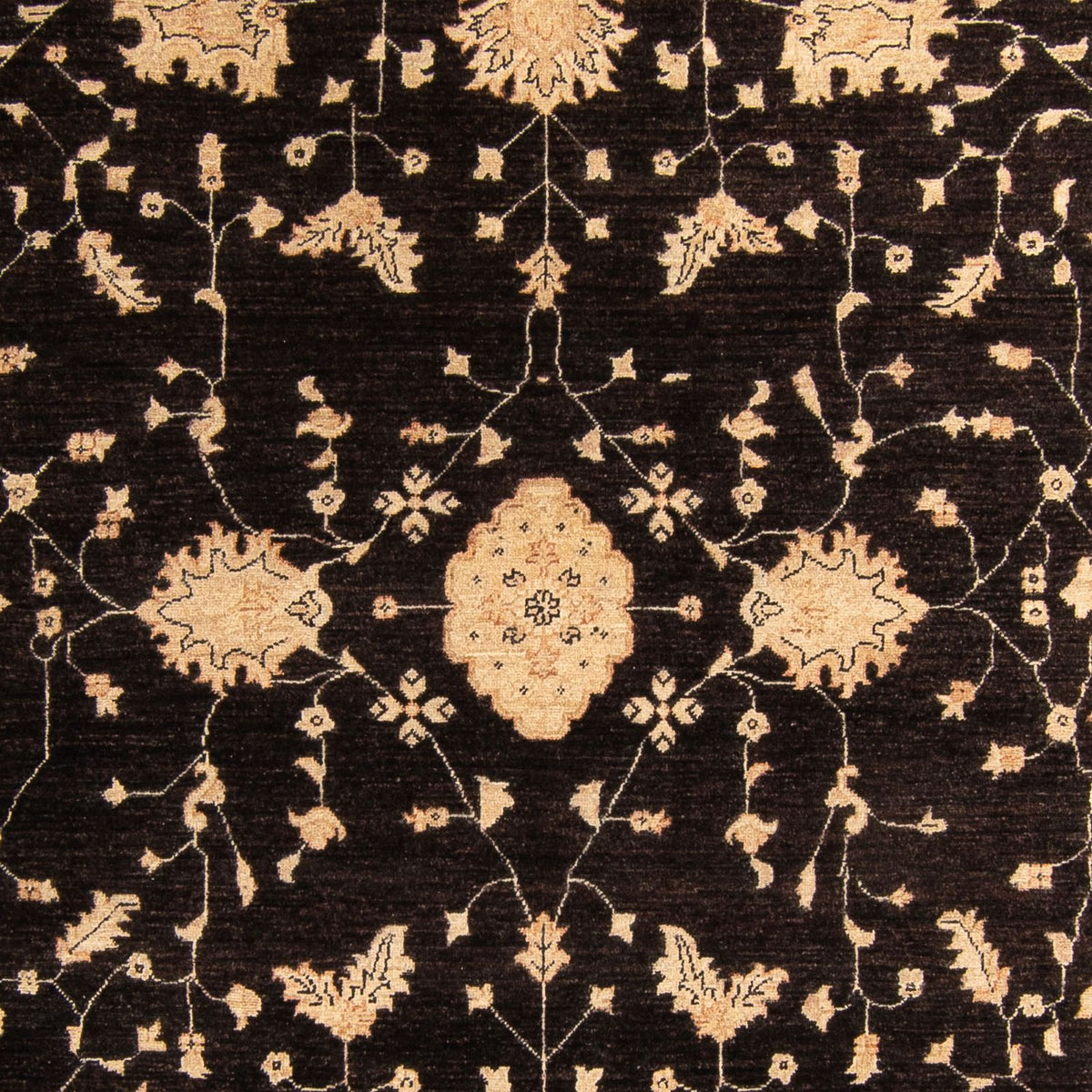 Ziegler Carpet - 296 x 209 cm - mørkebrun