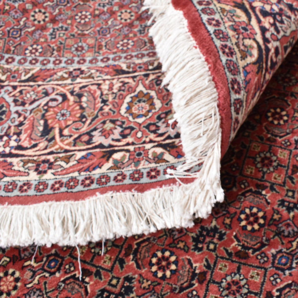 Persisk tæppe - Bijar rundt  - 255 x 255 cm - rust