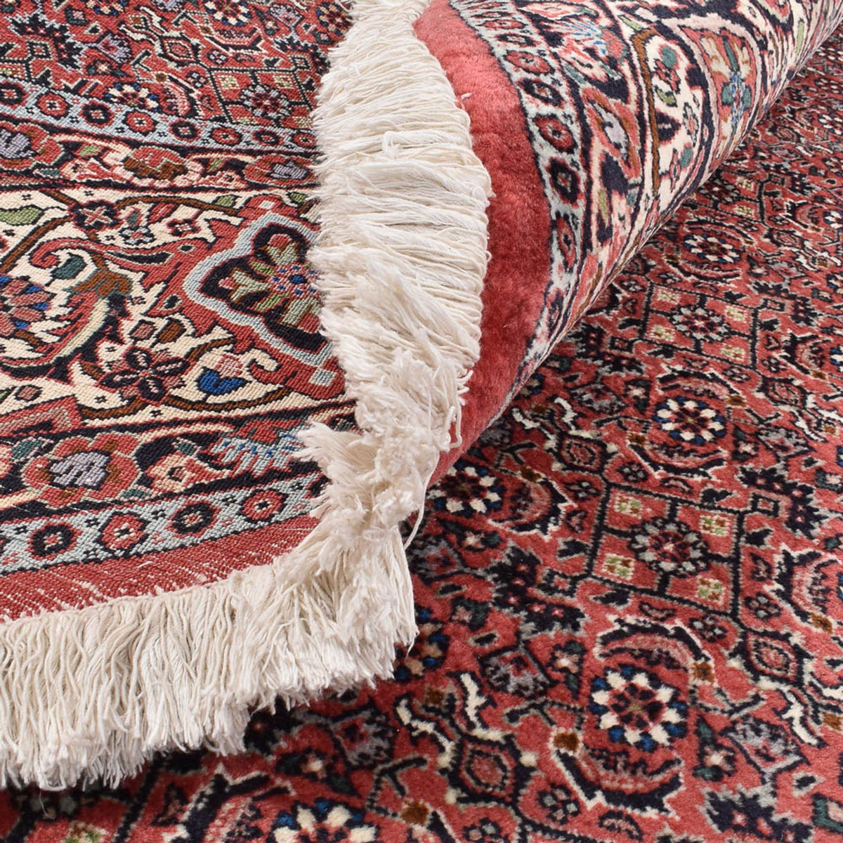 Persisk tæppe - Bijar rundt  - 300 x 300 cm - bordeaux rød