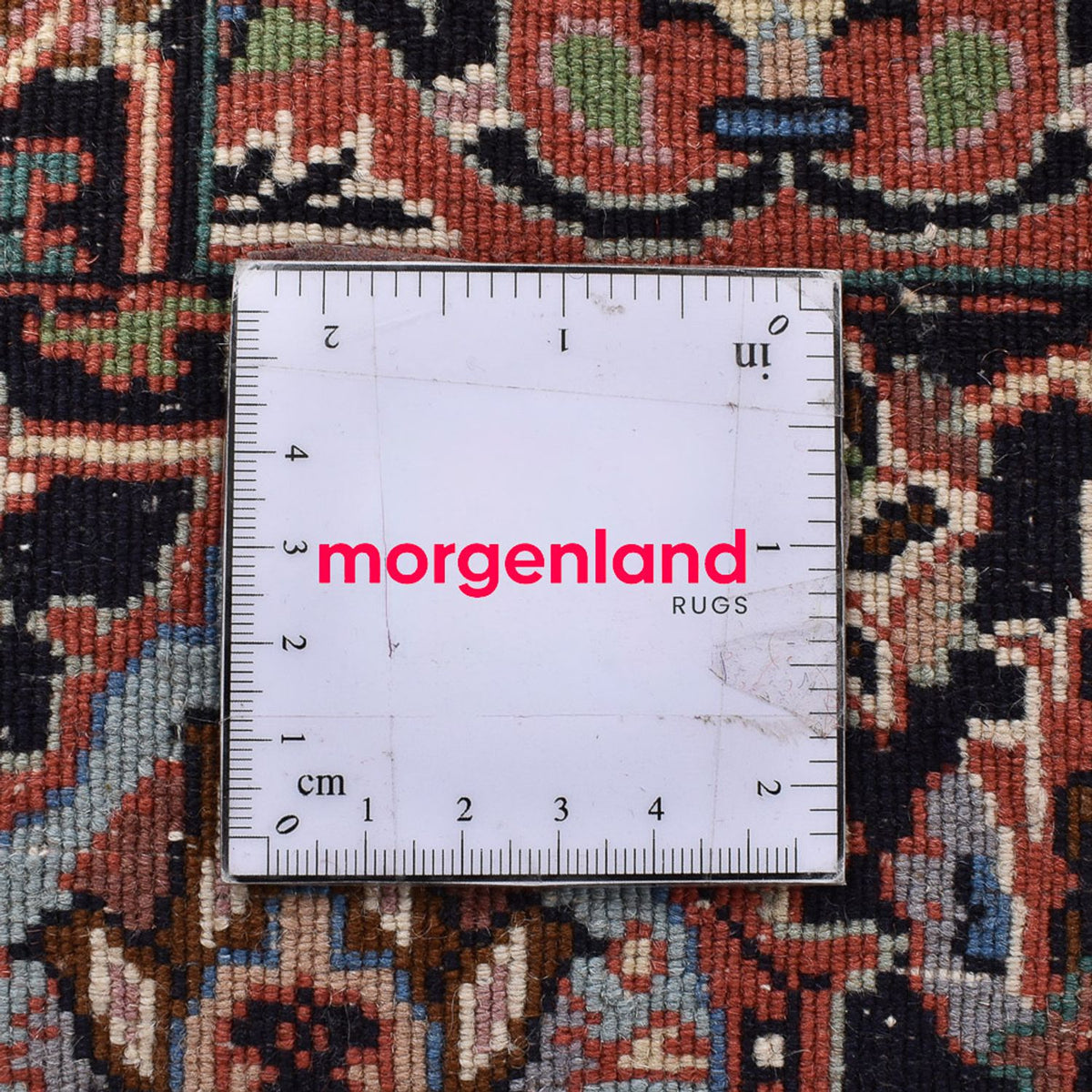 Persisk tæppe - Bijar - 243 x 210 cm - lys brun