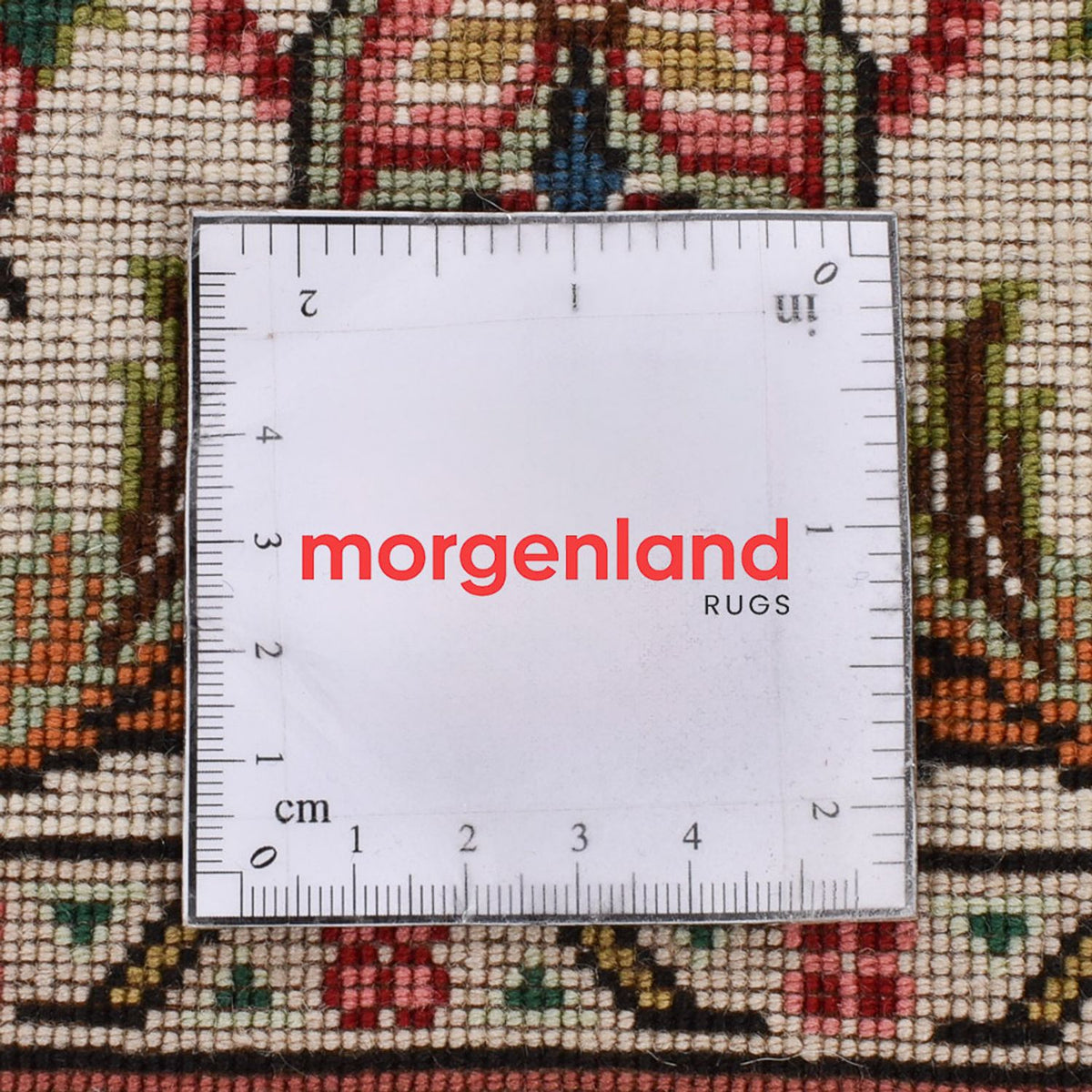 Løber Persisk tæppe - Tabriz - Premium - 255 x 70 cm - sand