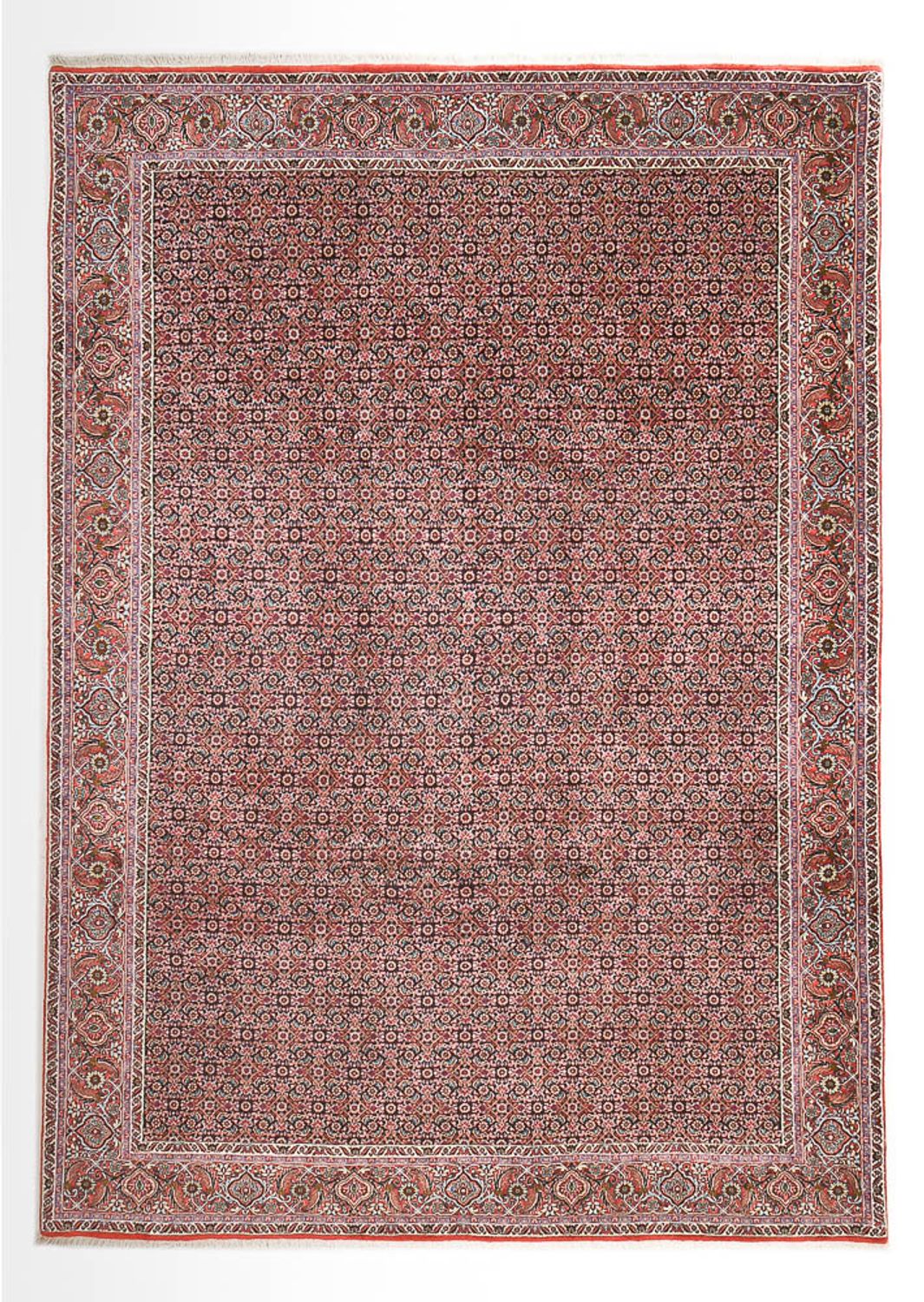 Persisk tæppe - Bijar - 362 x 258 cm - rust