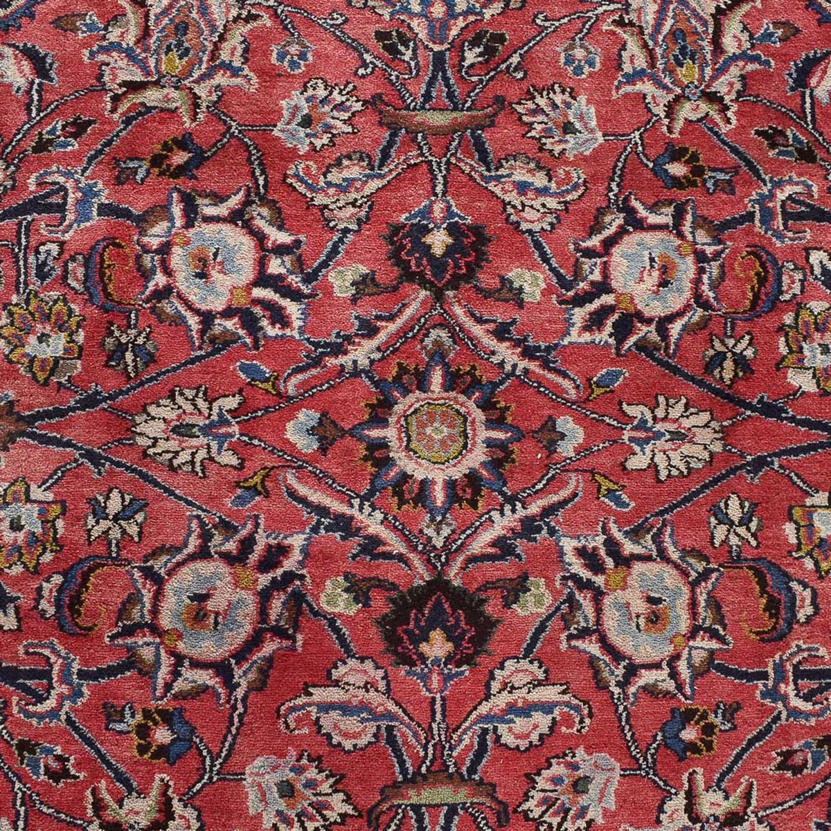 Persisk tæppe - Classic - 485 x 300 cm - lysrød