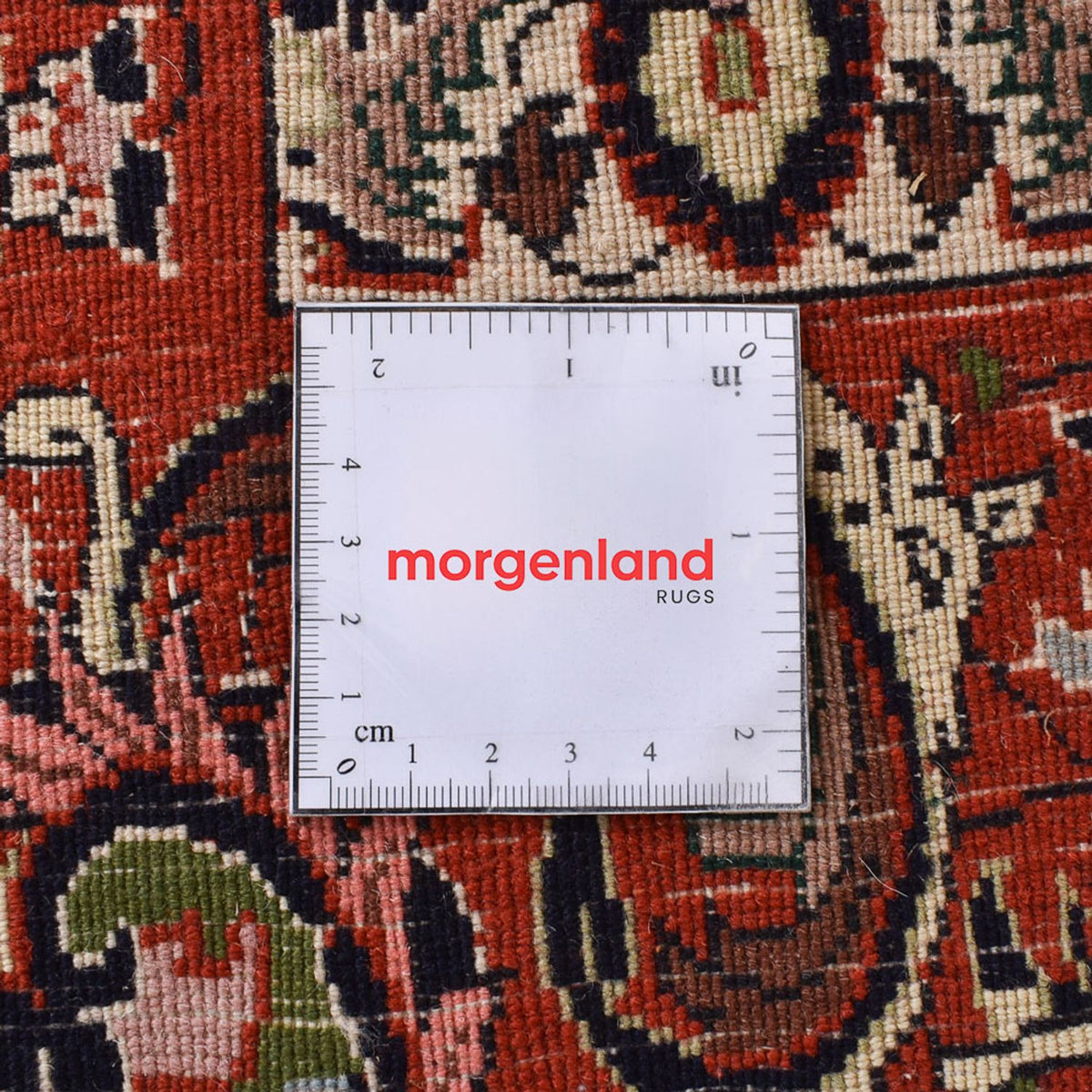 Persisk tæppe - Bijar - 300 x 198 cm - rust