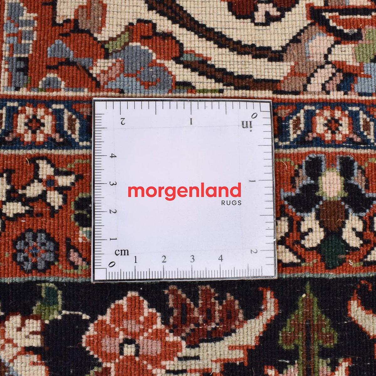 Persisk tæppe - Bijar - 292 x 204 cm - creme