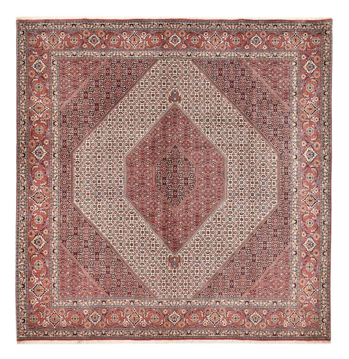 Persisk tæppe - Bijar firkantet  - 307 x 300 cm - rust
