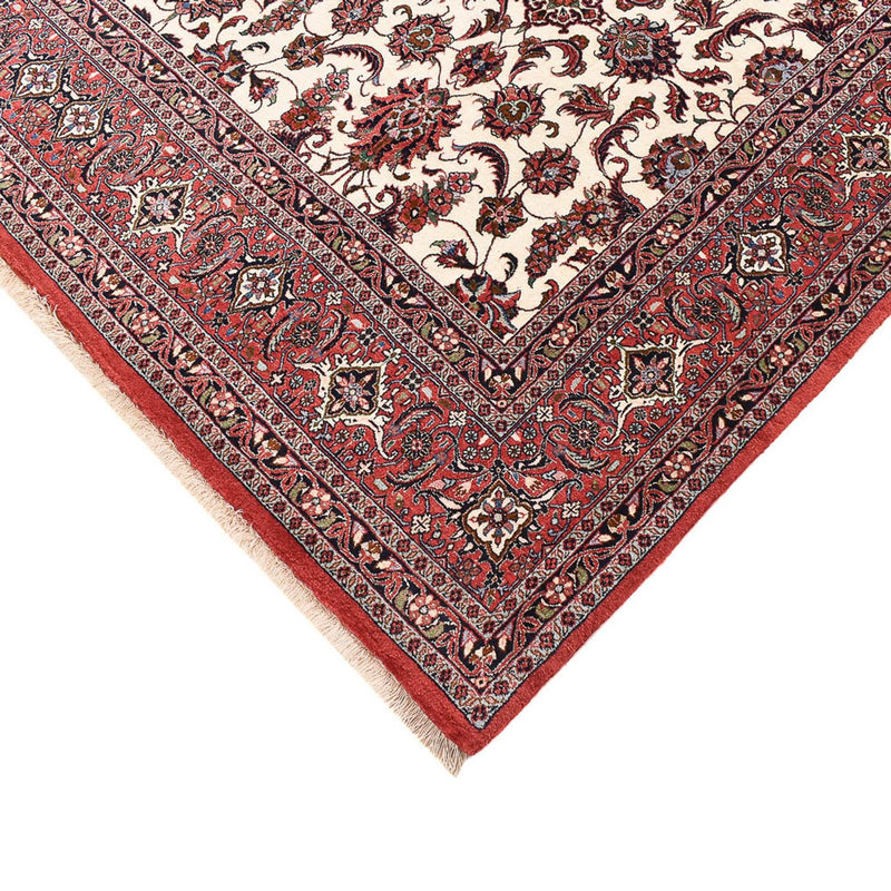 Persisk tæppe - Bijar - 315 x 205 cm - creme