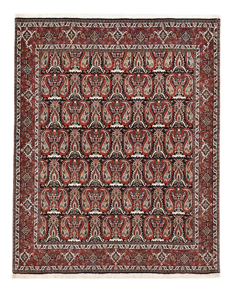 Persisk tæppe - Bijar - 248 x 208 cm - rust