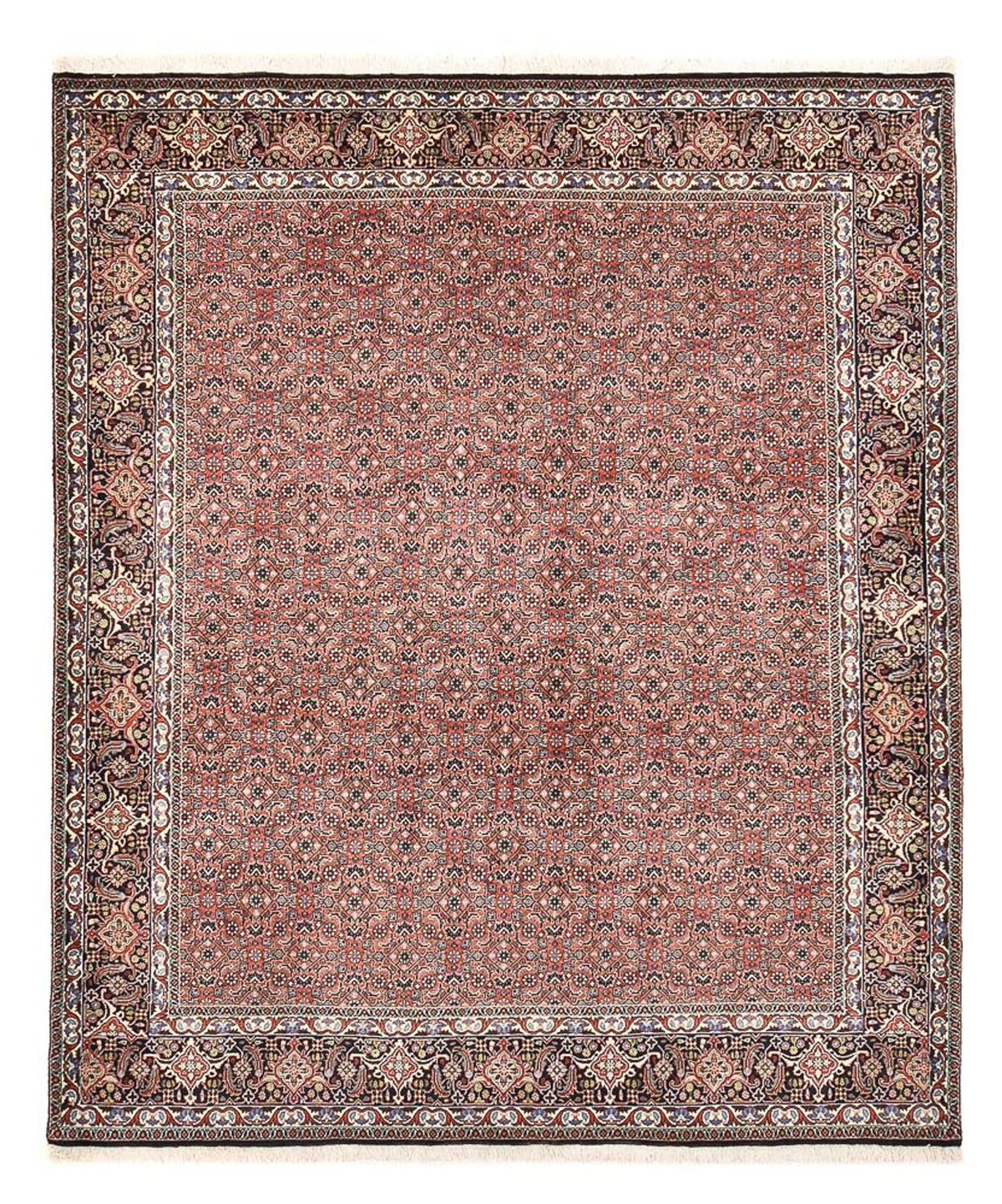 Persisk tæppe - Bijar - 244 x 204 cm - rust