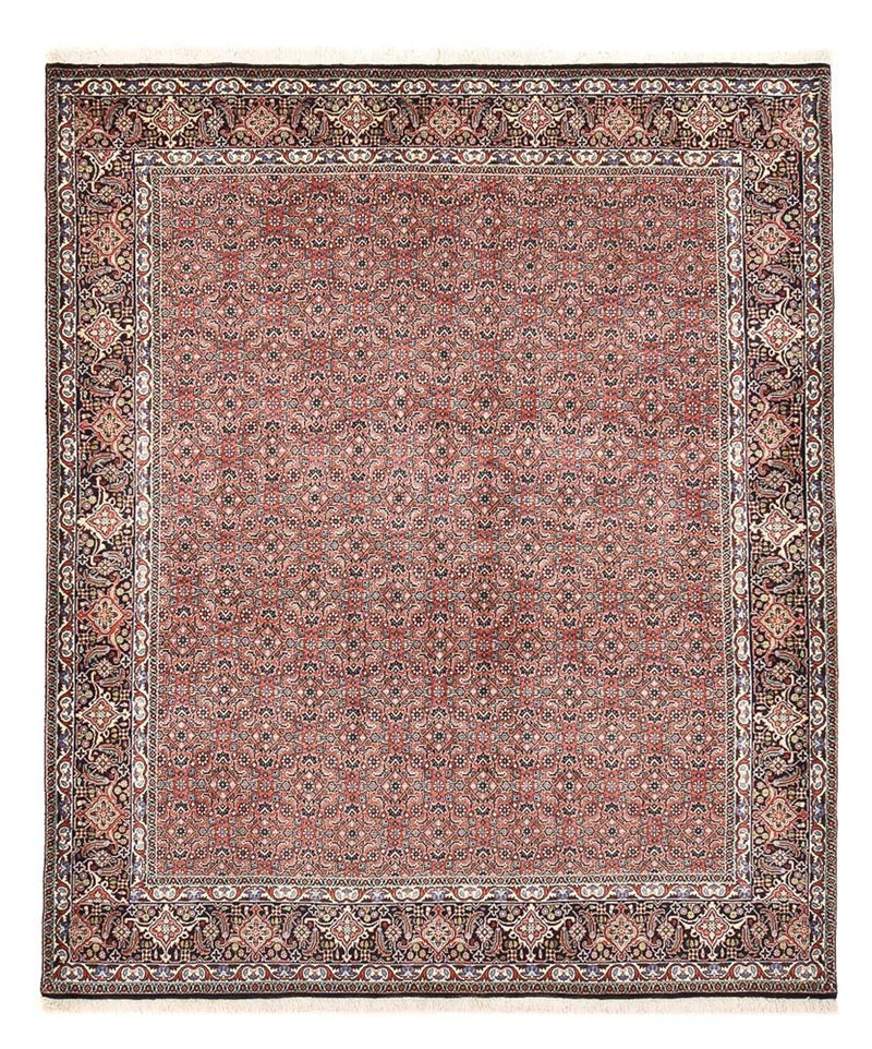 Persisk tæppe - Bijar - 244 x 204 cm - rust