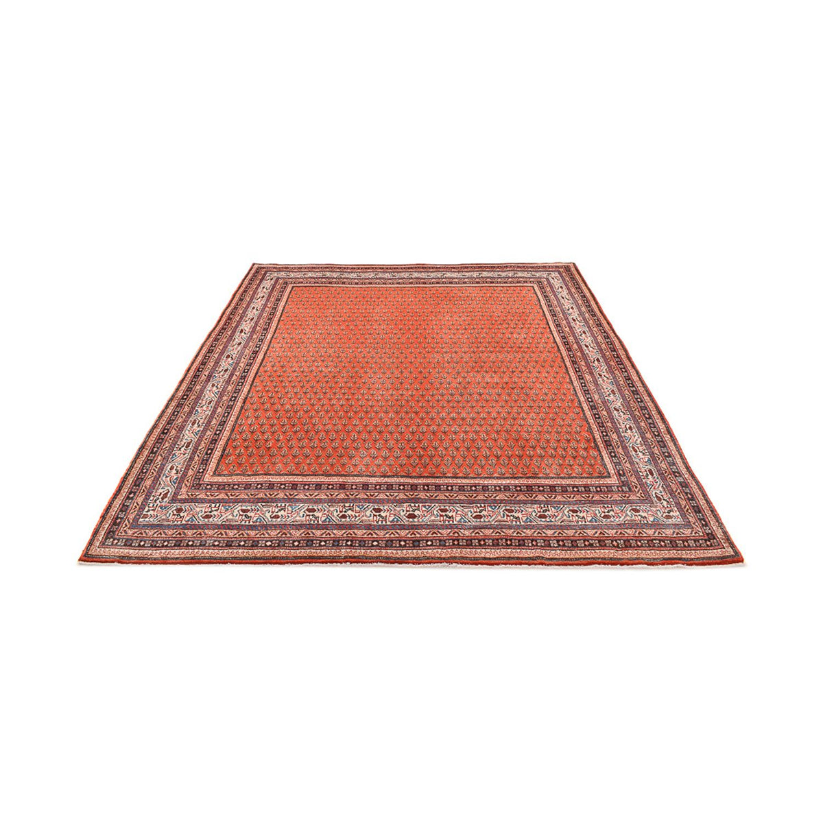 Persisk tæppe - Classic - 261 x 228 cm - orange