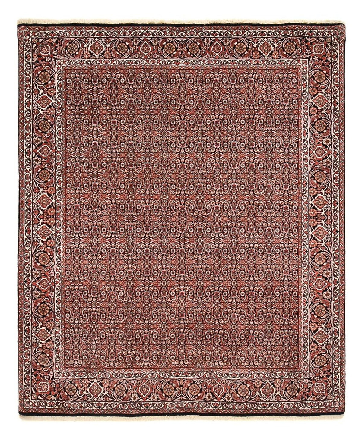 Persisk tæppe - Bijar - 255 x 207 cm - mørkerød