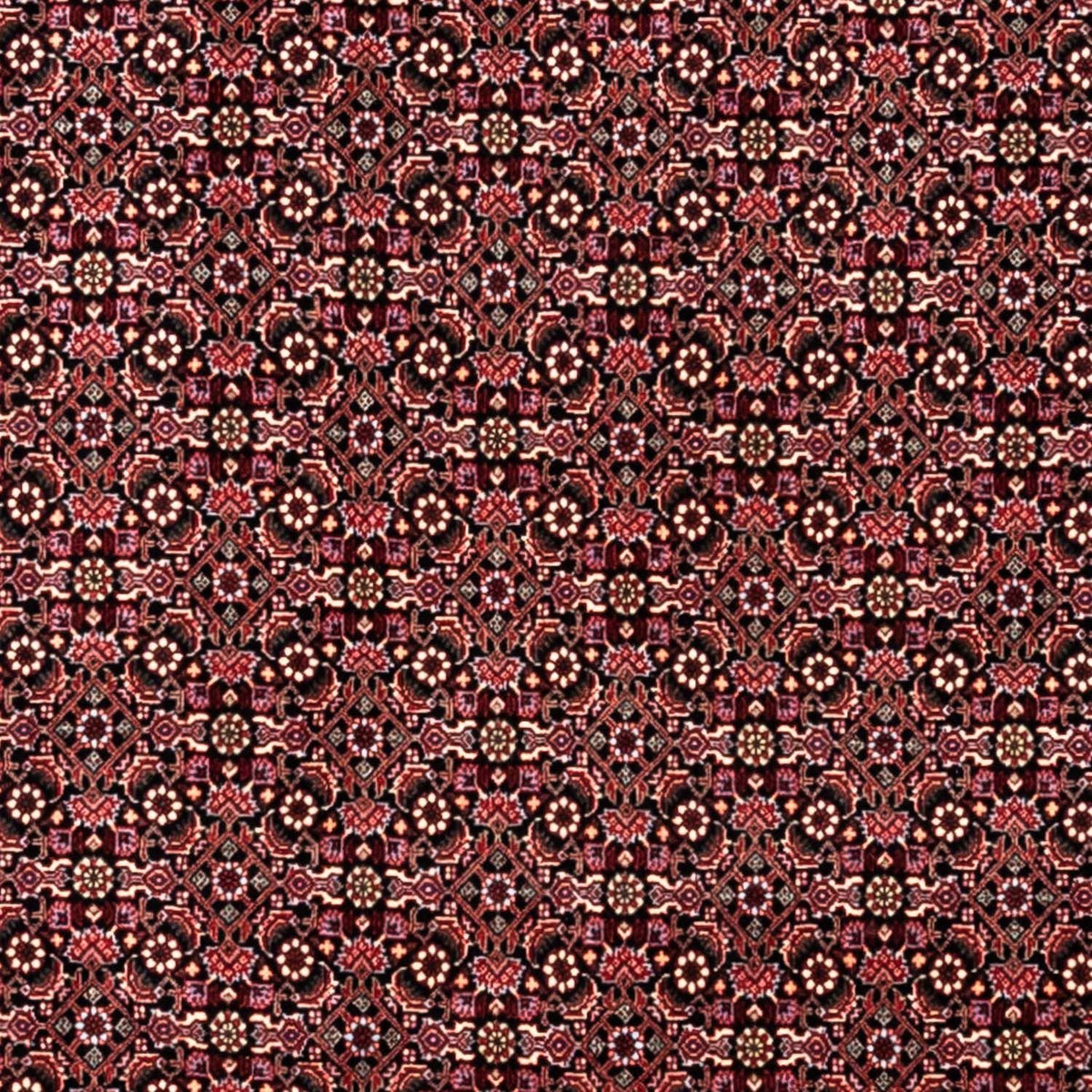 Persisk tæppe - Bijar - Royal - 346 x 250 cm - mørkerød