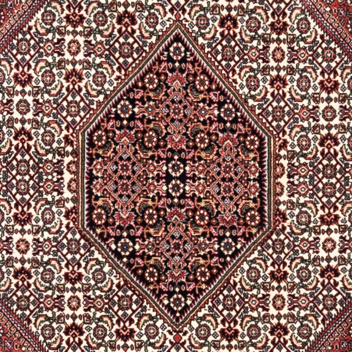 Persisk tæppe - Bijar - Royal - 295 x 200 cm - rød