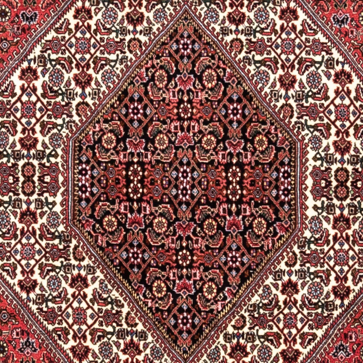 Persisk tæppe - Bijar - Royal - 300 x 200 cm - rød