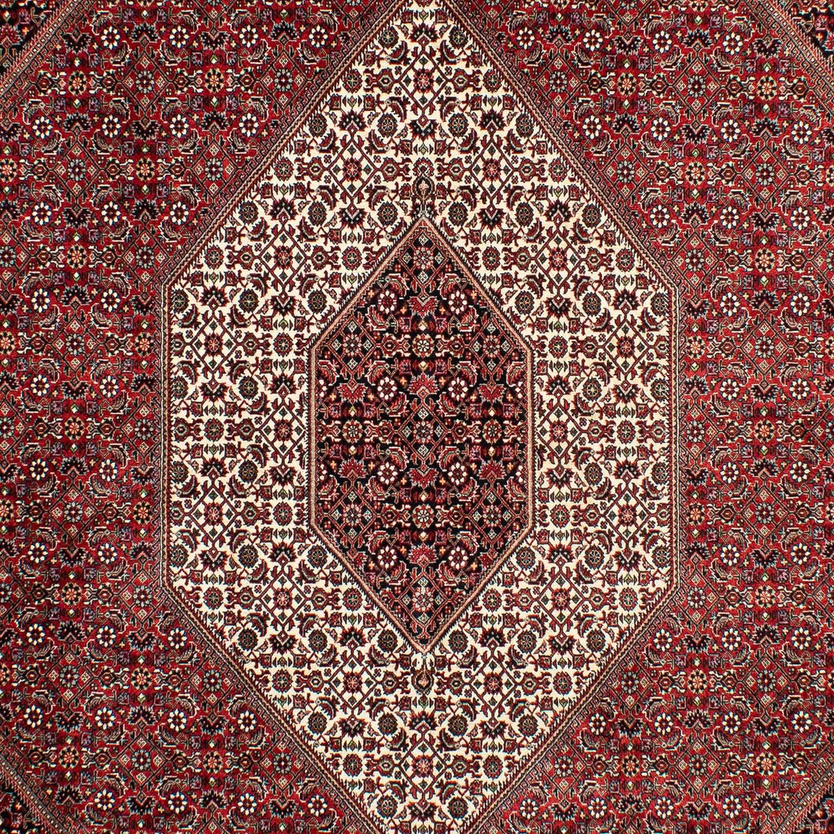 Persisk tæppe - Bijar - 298 x 200 cm - mørkerød