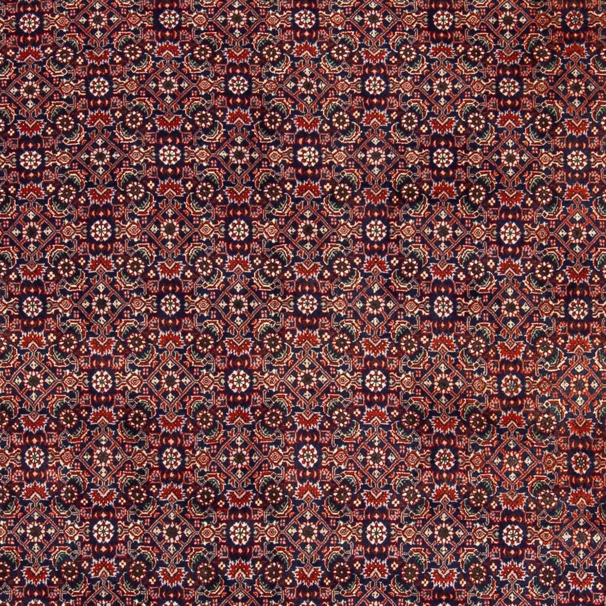 Persisk tæppe - Bijar - 237 x 168 cm - lysrød