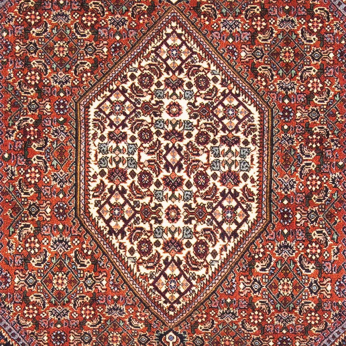 Persisk tæppe - Bijar - 152 x 105 cm - rød