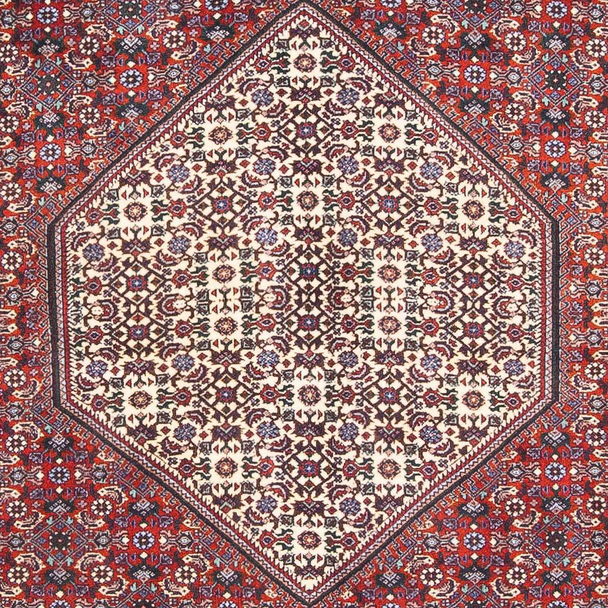 Persisk tæppe - Bijar - 170 x 110 cm - beige