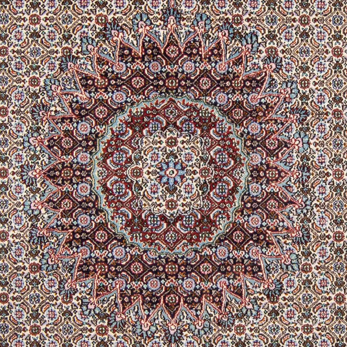 Persisk tæppe - Classic - 300 x 198 cm - beige