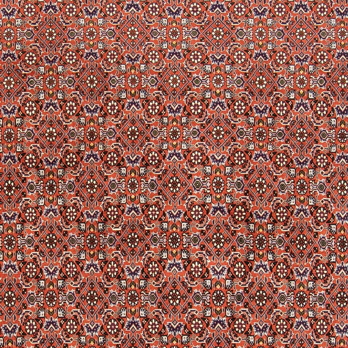 Persisk tæppe - Bijar - 230 x 168 cm - rust